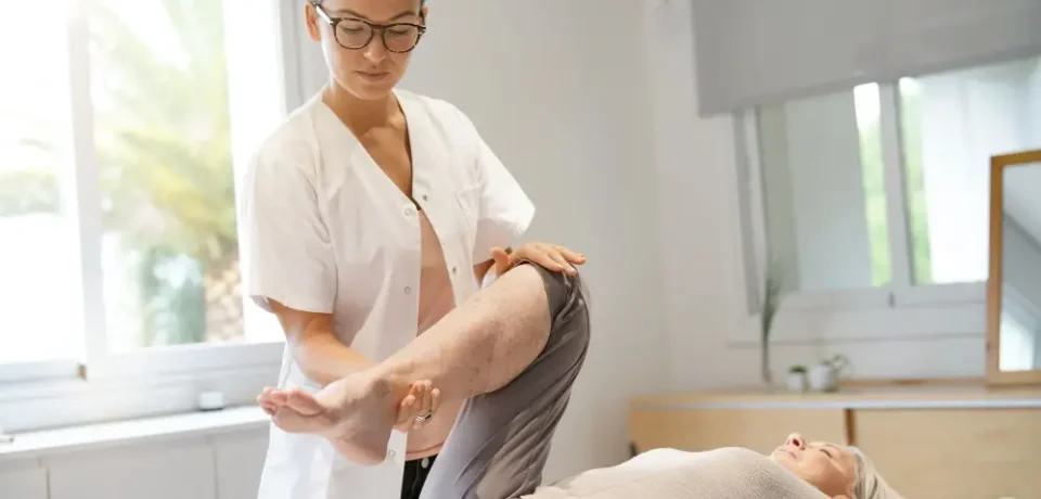 knee pain knee pain